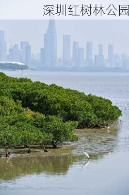 深圳红树林公园