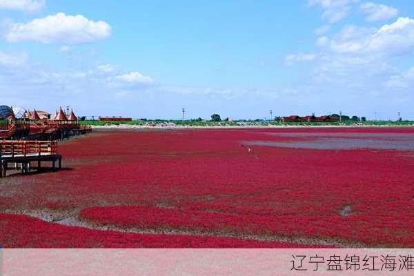 辽宁盘锦红海滩