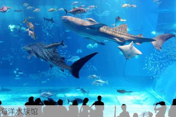 海洋水族馆