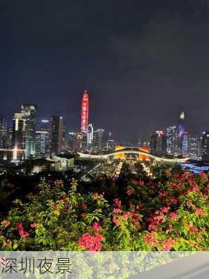 深圳夜景