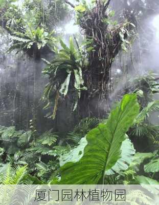 厦门园林植物园