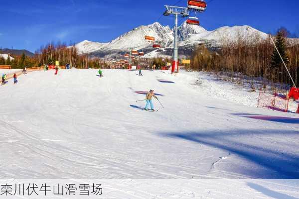 栾川伏牛山滑雪场