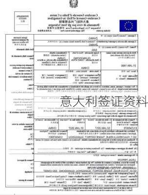 意大利签证资料