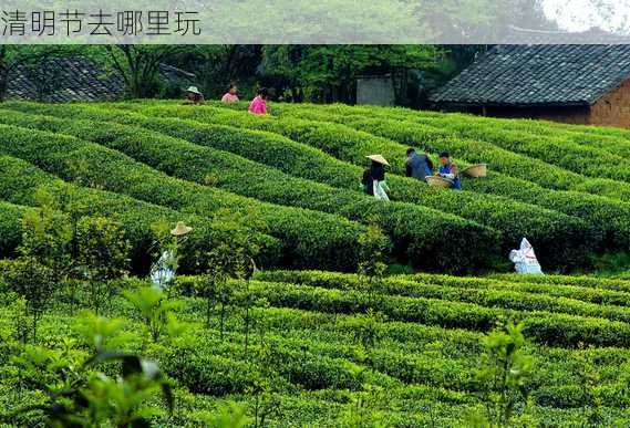 清明节去哪里玩