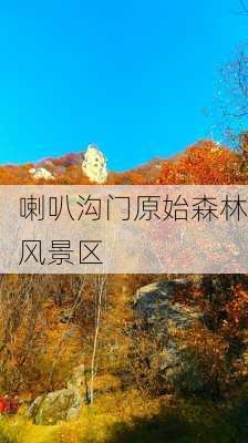 喇叭沟门原始森林风景区