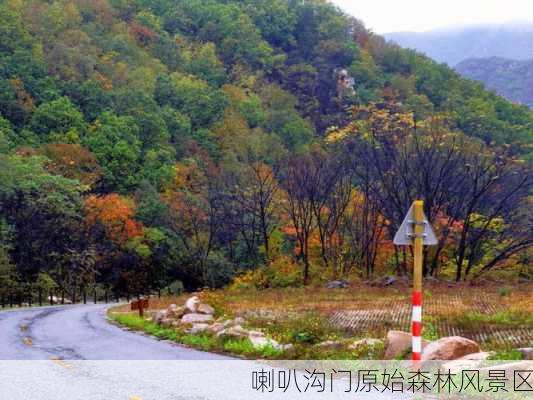 喇叭沟门原始森林风景区