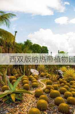 西双版纳热带植物园