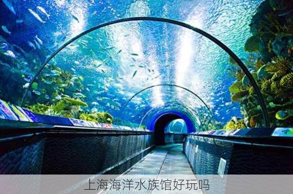 上海海洋水族馆好玩吗