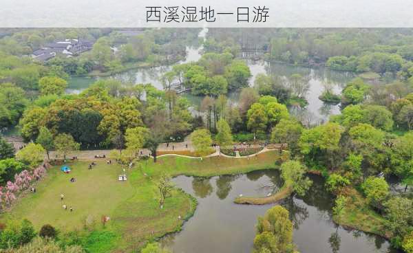 西溪湿地一日游