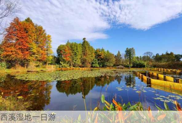 西溪湿地一日游