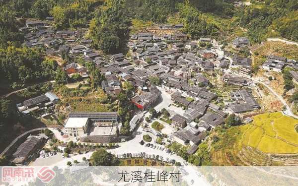 尤溪桂峰村