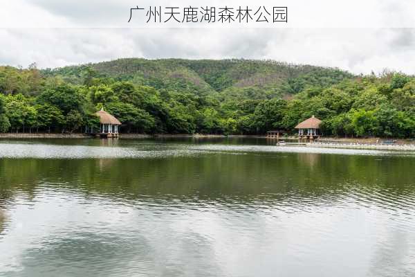 广州天鹿湖森林公园