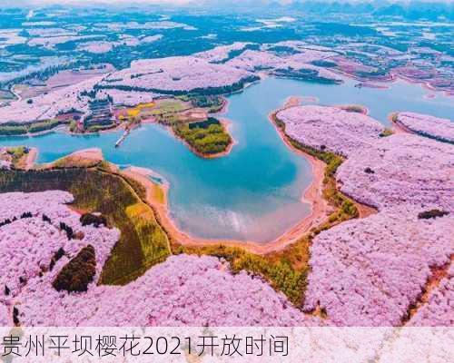 贵州平坝樱花2021开放时间