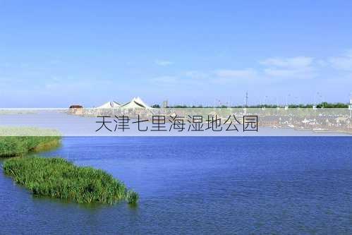 天津七里海湿地公园