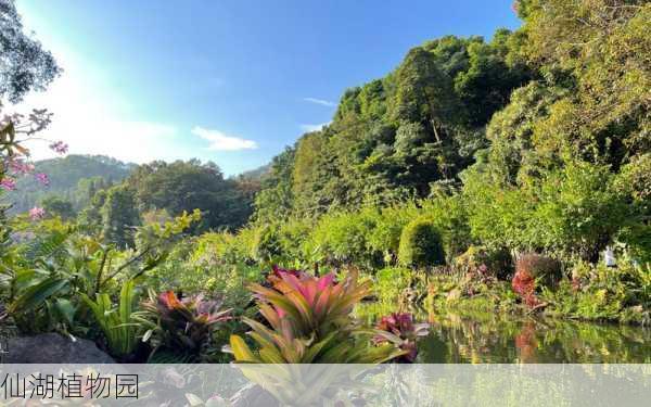 仙湖植物园