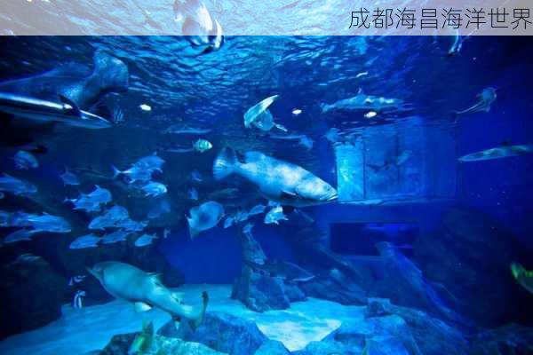 成都海昌海洋世界