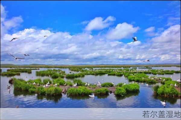 若尔盖湿地