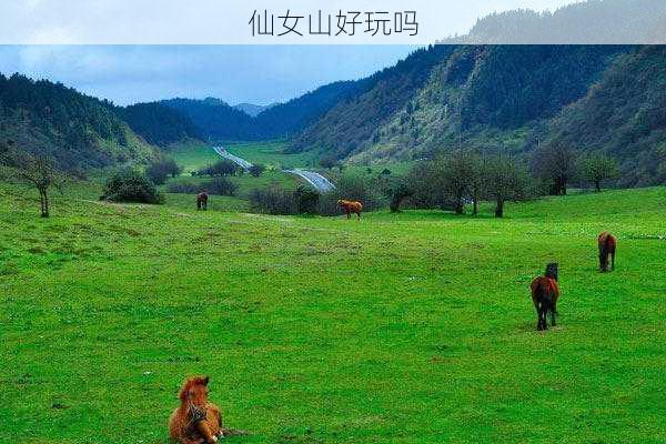 仙女山好玩吗