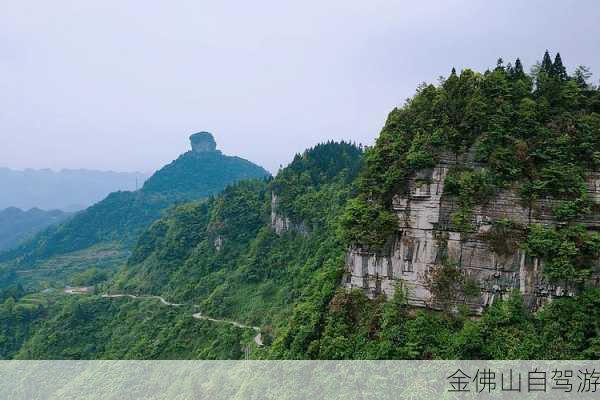 金佛山自驾游