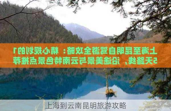 上海到云南昆明旅游攻略