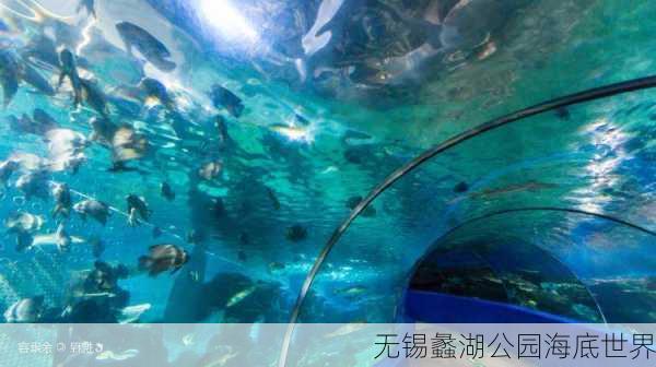 无锡蠡湖公园海底世界