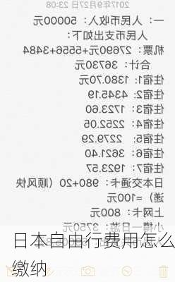 日本自由行费用怎么缴纳