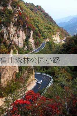 鲁山森林公园小路