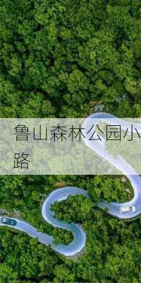 鲁山森林公园小路