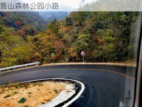 鲁山森林公园小路