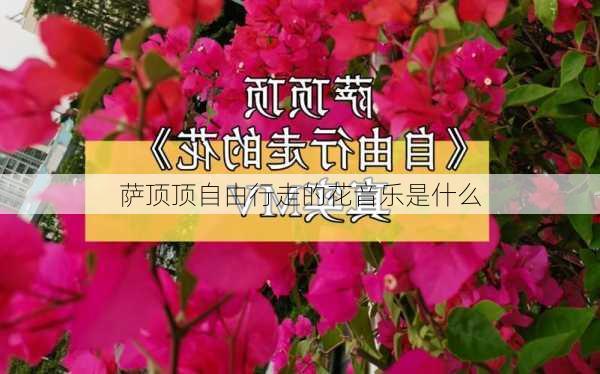 萨顶顶自由行走的花音乐是什么