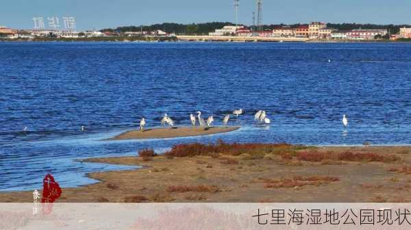 七里海湿地公园现状