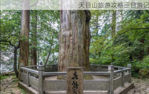 天目山旅游攻略三日游记