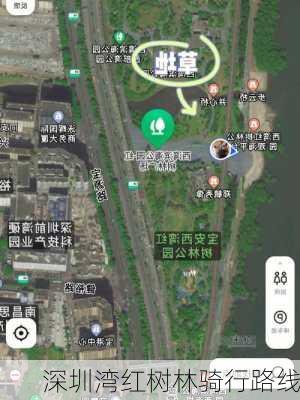 深圳湾红树林骑行路线