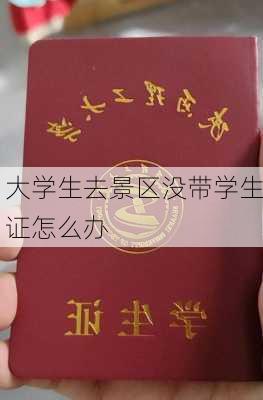 大学生去景区没带学生证怎么办