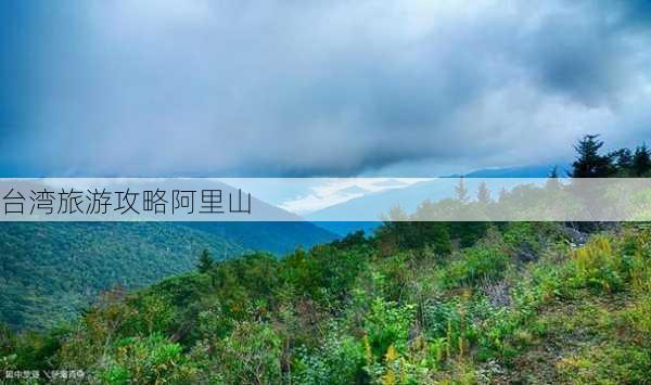 台湾旅游攻略阿里山