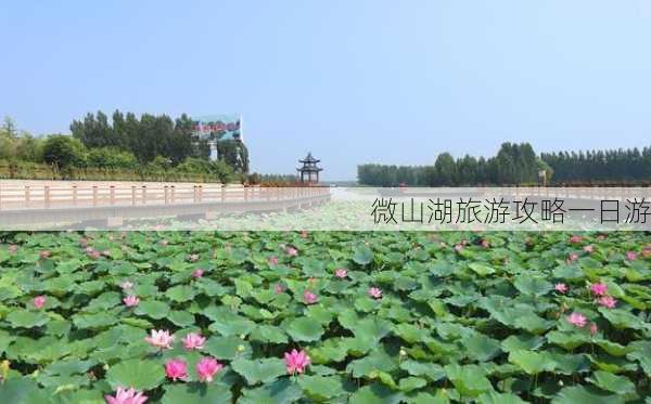 微山湖旅游攻略一日游