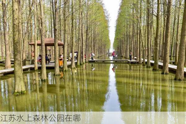 江苏水上森林公园在哪