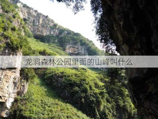 龙洞森林公园里面的山峰叫什么