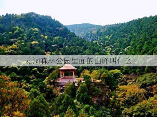 龙洞森林公园里面的山峰叫什么