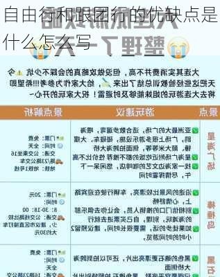 自由行和跟团行的优缺点是什么怎么写