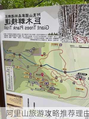 阿里山旅游攻略推荐理由