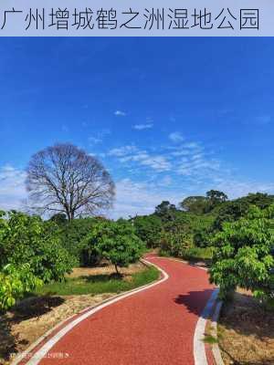 广州增城鹤之洲湿地公园