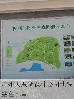 广州天鹿湖森林公园地铁站在哪里