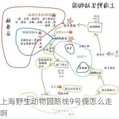 上海野生动物园路线9号线怎么走啊