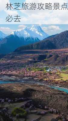 林芝旅游攻略景点必去