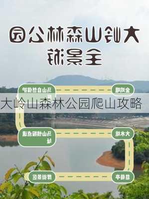 大岭山森林公园爬山攻略