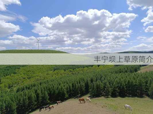 丰宁坝上草原简介