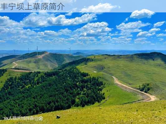 丰宁坝上草原简介