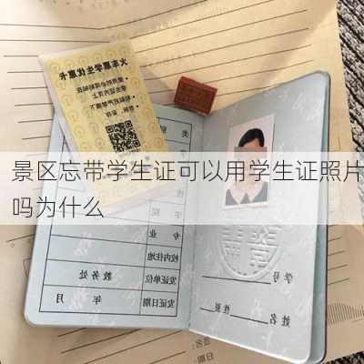 景区忘带学生证可以用学生证照片吗为什么