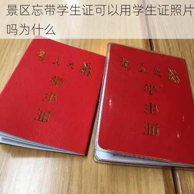 景区忘带学生证可以用学生证照片吗为什么